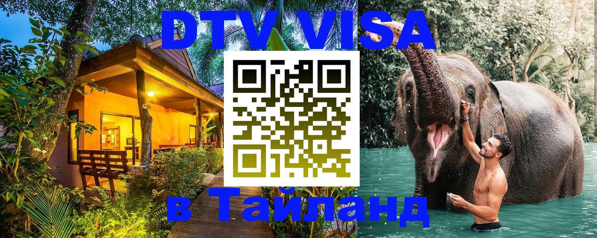 Сколько стоит DTV виза — актуальные цены, оформление даже без документов - 06.12.2025 